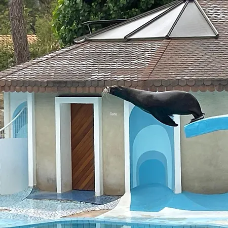 Hébergement de vacances Mobilhome Eleganzia - Cc921 Les Charmettes 4 Stars