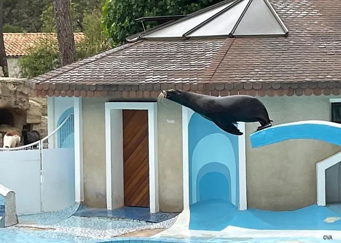 Hébergement de vacances Mobilhome Eleganzia - Cc921 Les Charmettes 4 Stars